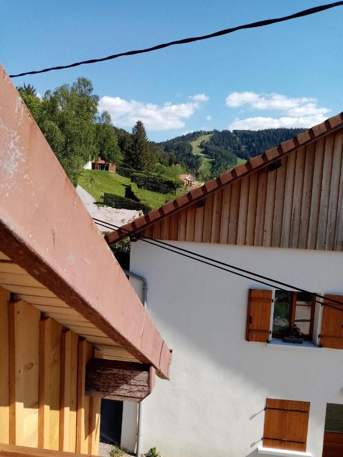 Au Grenier Du Lac Gérardmer Екстериор снимка