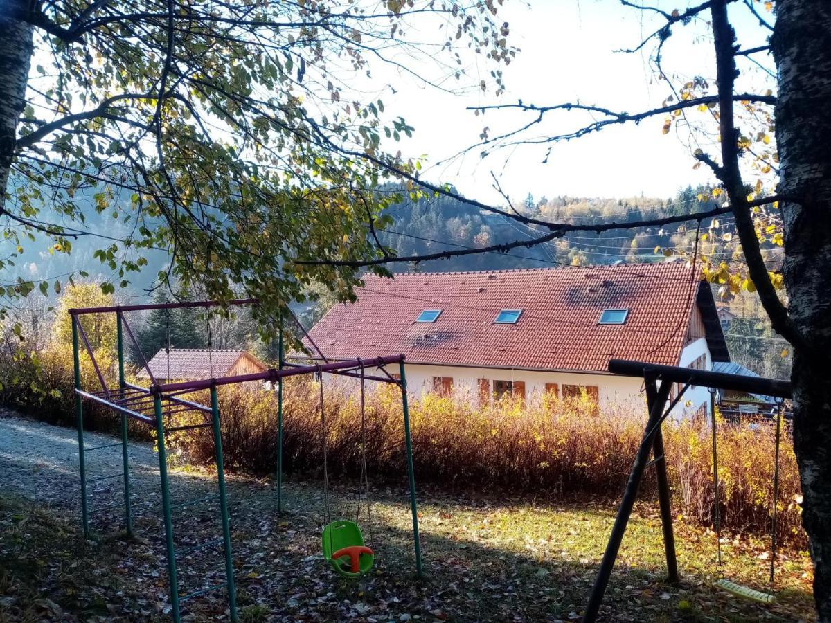Au Grenier Du Lac Gérardmer Екстериор снимка