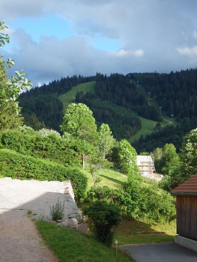 Au Grenier Du Lac Gérardmer Екстериор снимка