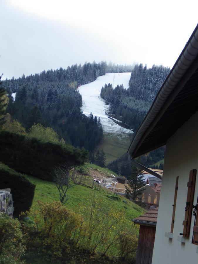 Au Grenier Du Lac Gérardmer Екстериор снимка