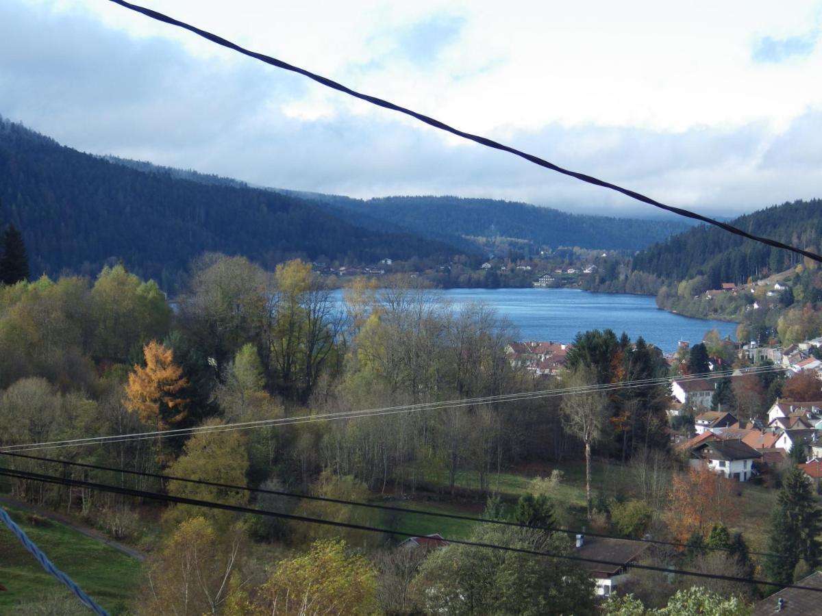 Au Grenier Du Lac Gérardmer Екстериор снимка